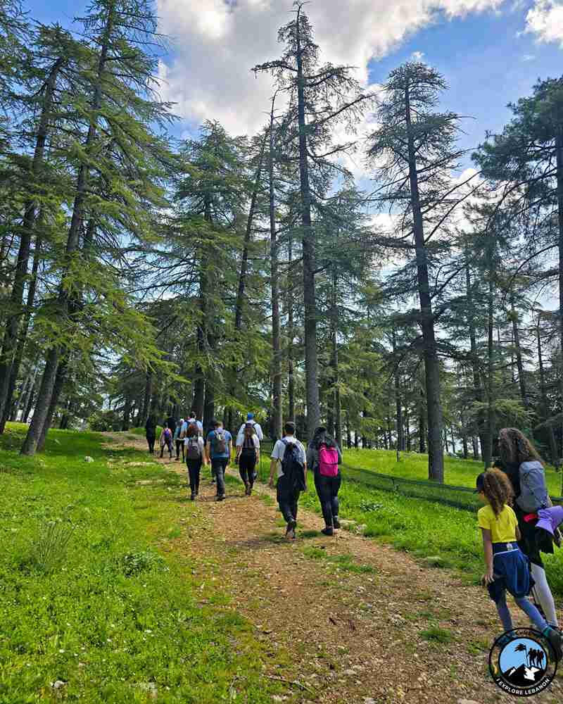 ixl-hike ixl-hike