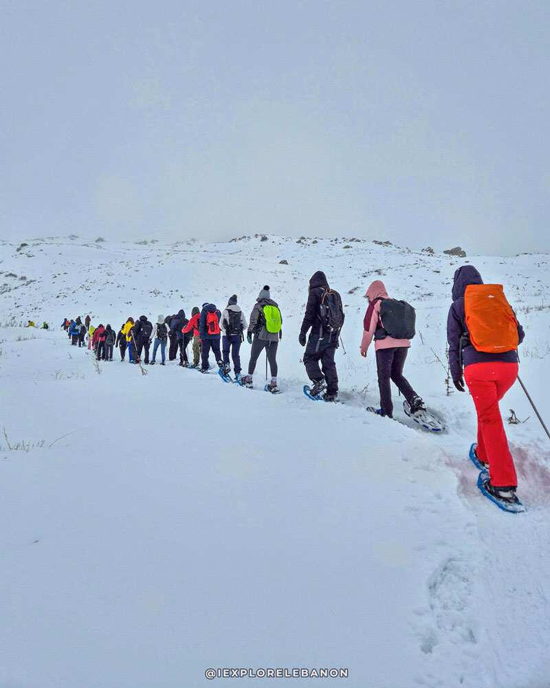 ixl-snow ixl-snow